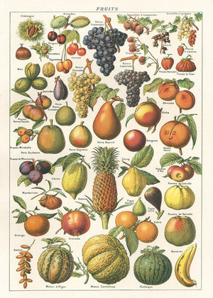 Fruit Poster