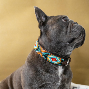 Biarritz Dog Collar | 3 Size Options