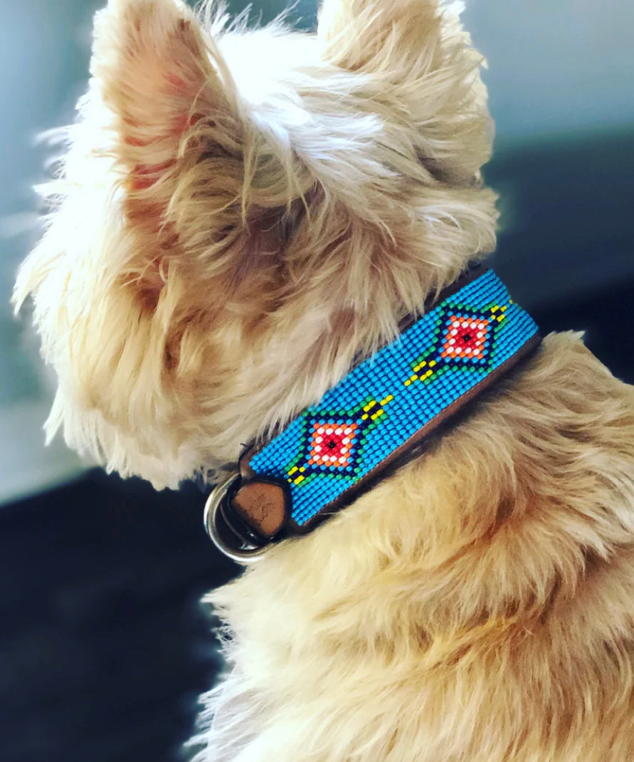 Blue Vogue Dog Collar | 2 Size Options